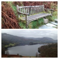 09-Loughrigg.scaled1000-008